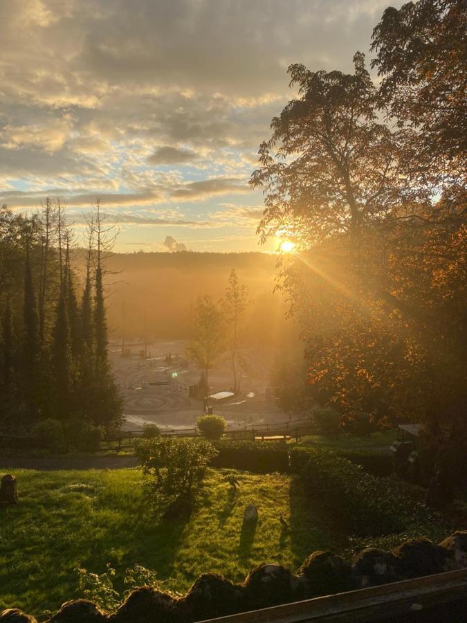 Wunderschoen Zwischen Ortsausgang Und Waldesrand Gelegene, Schoene Apartments Herzogenrath Esterno foto